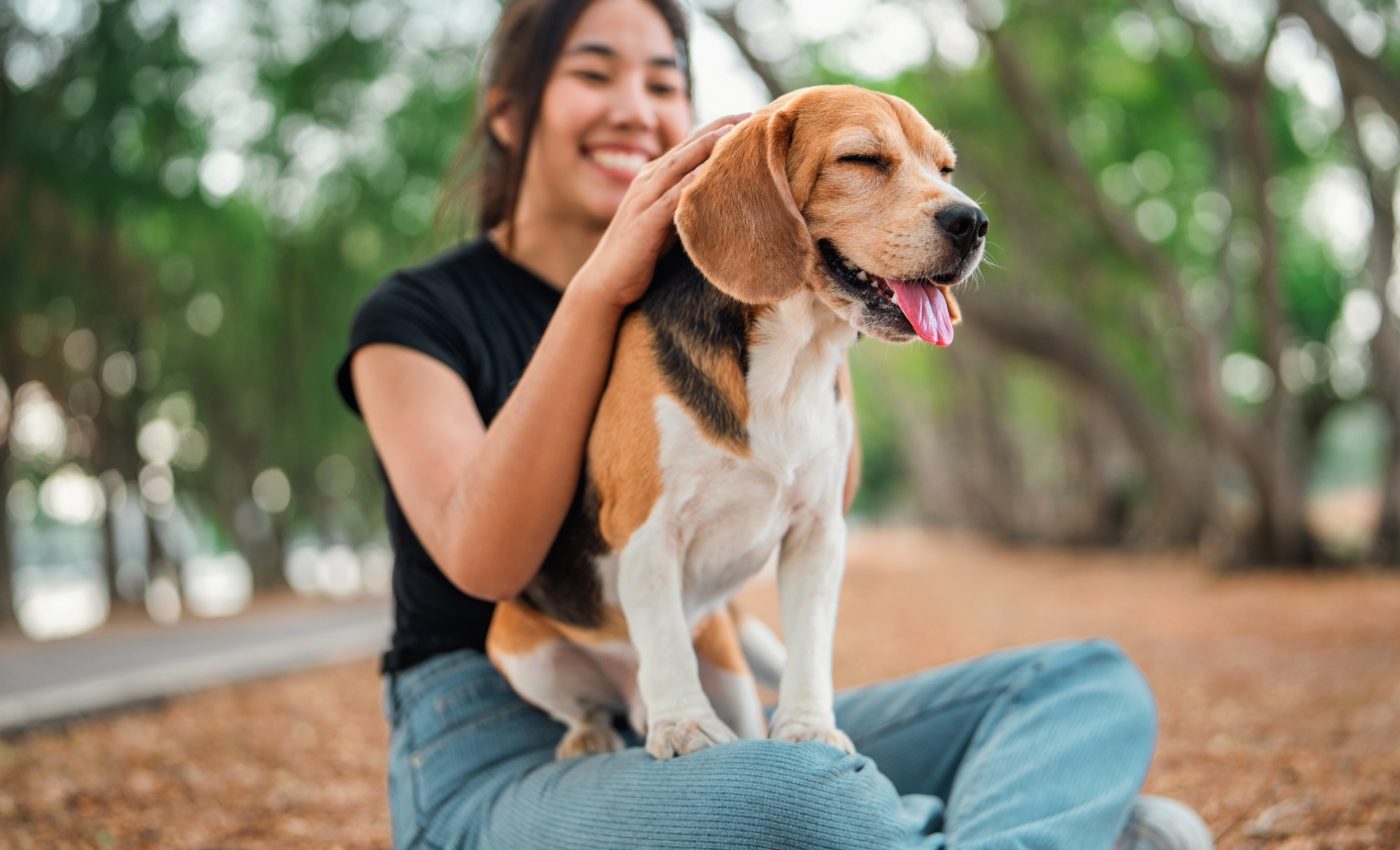 Why we see some animals as more human than others