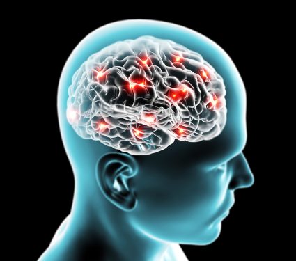 Brain,Neurons,,Synapses,,Reasoning