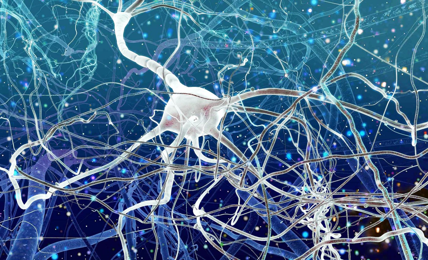 First map of the brain's mitochondria may explain cognitive decline