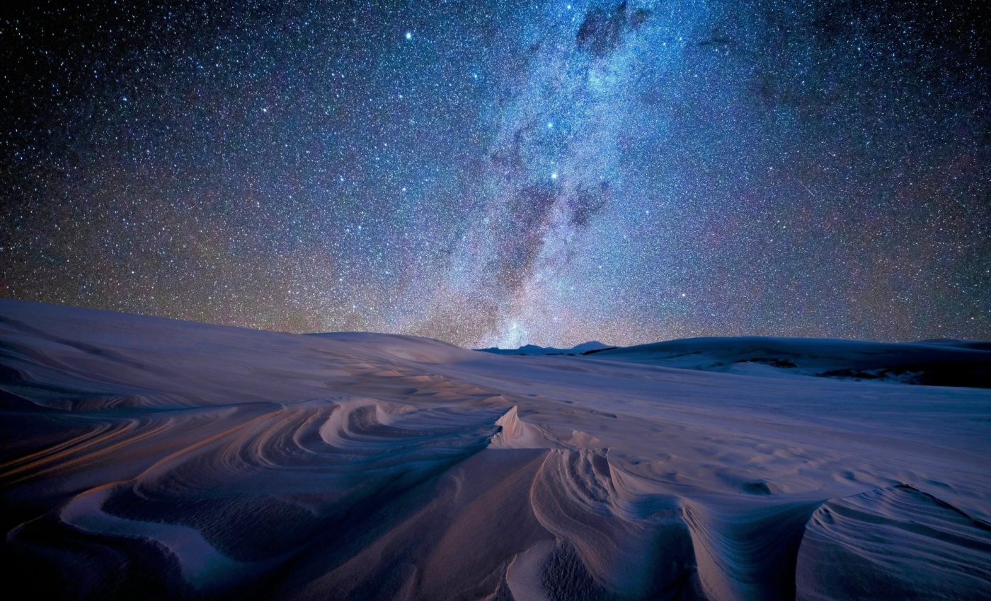 Moths read the stars to complete an epic migration