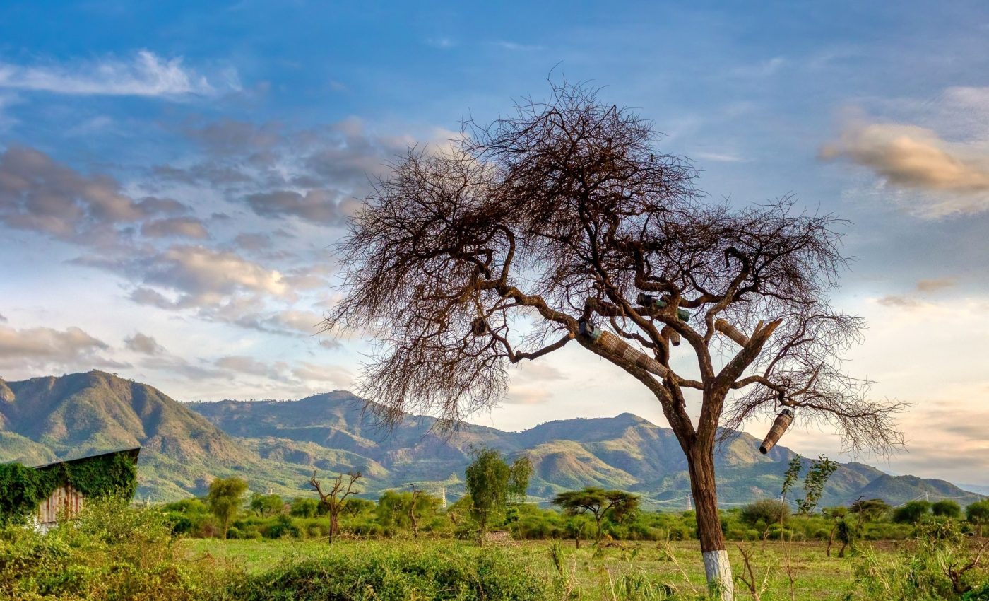 Why early human migrations out of Africa failed to take hold