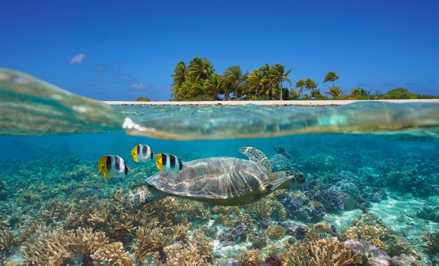 Carbon ‘burps’ from Earth’s past warn of ocean trouble ahead