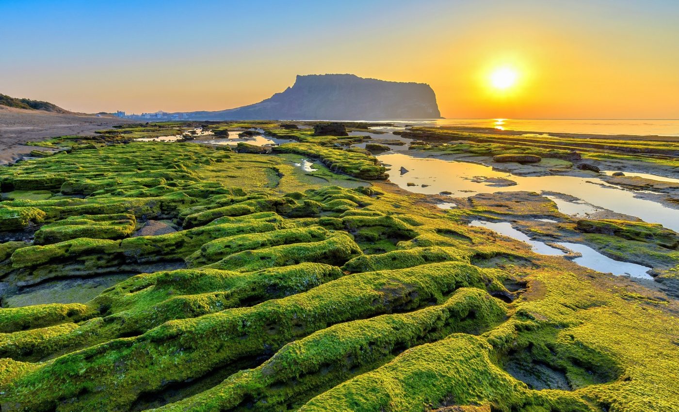 Ocean warming is pushing sea life into new territories