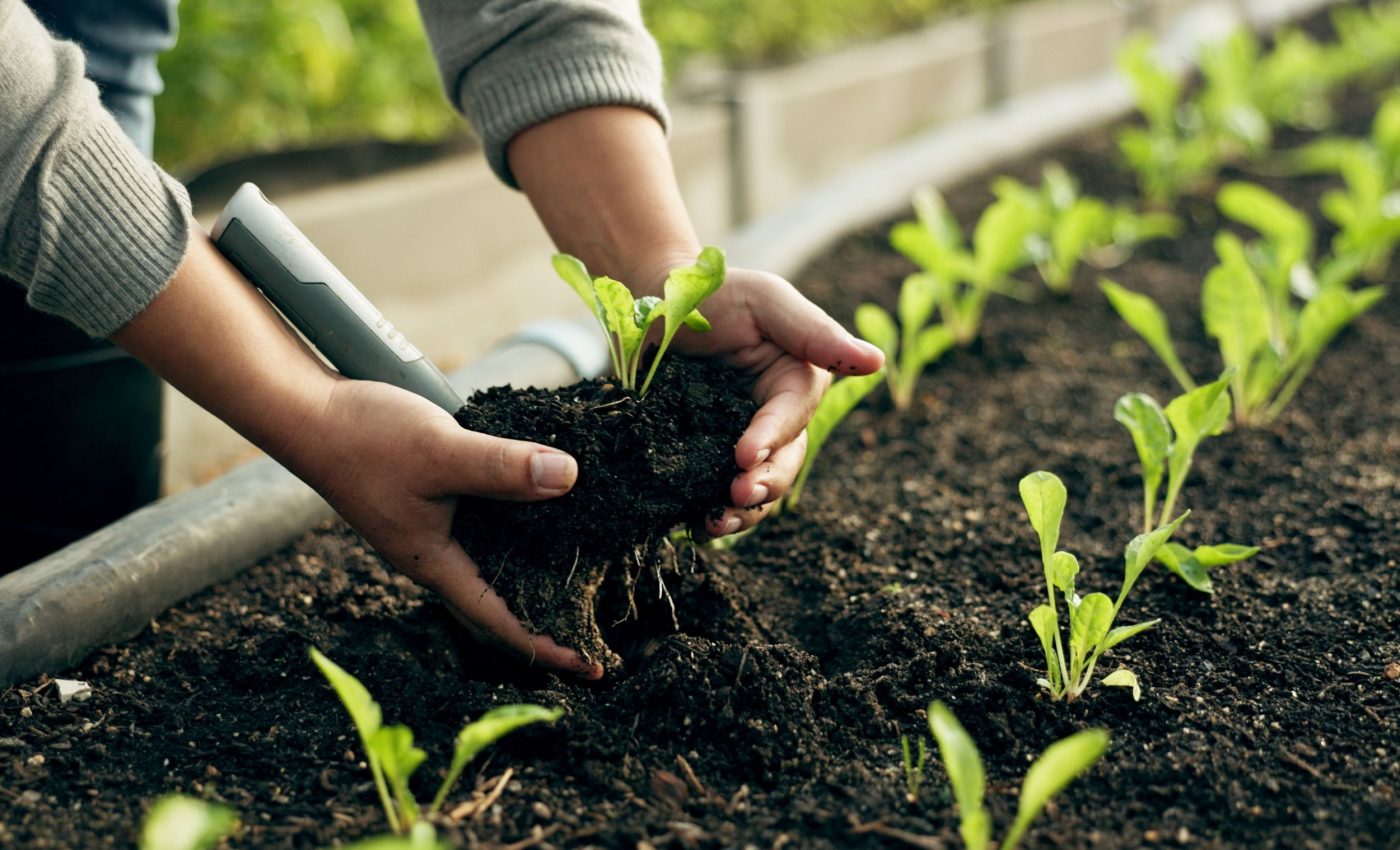 Eco-friendly farms can succeed - but they need support