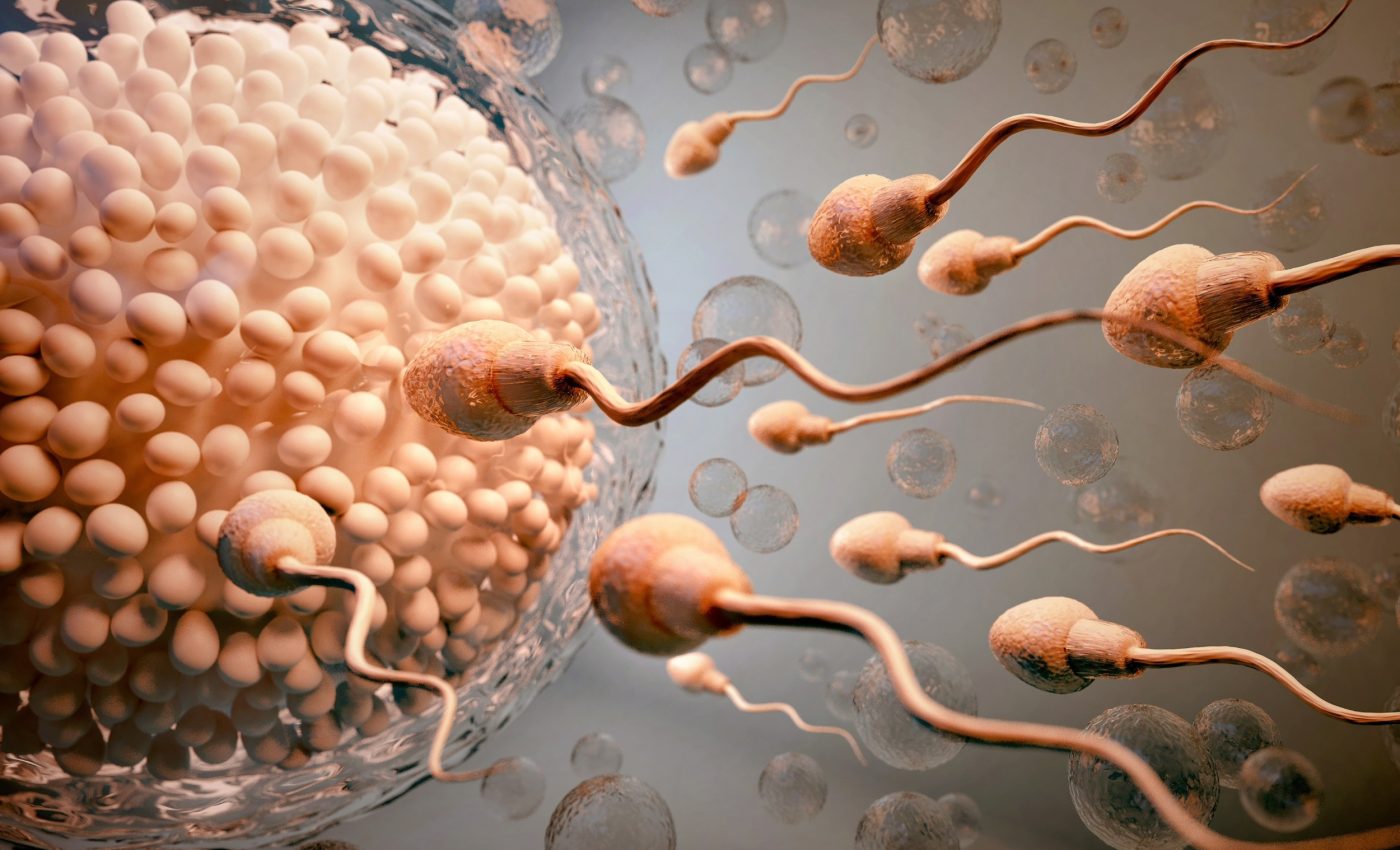 Tiny plastic particles found in human egg and sperm fluids