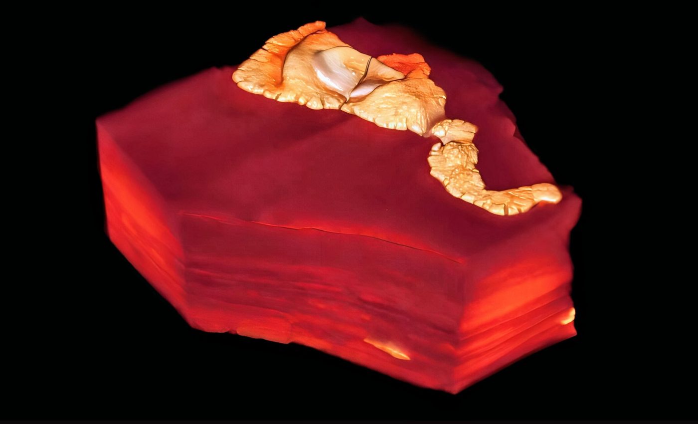 Why ancient organisms stored arsenic inside their cells