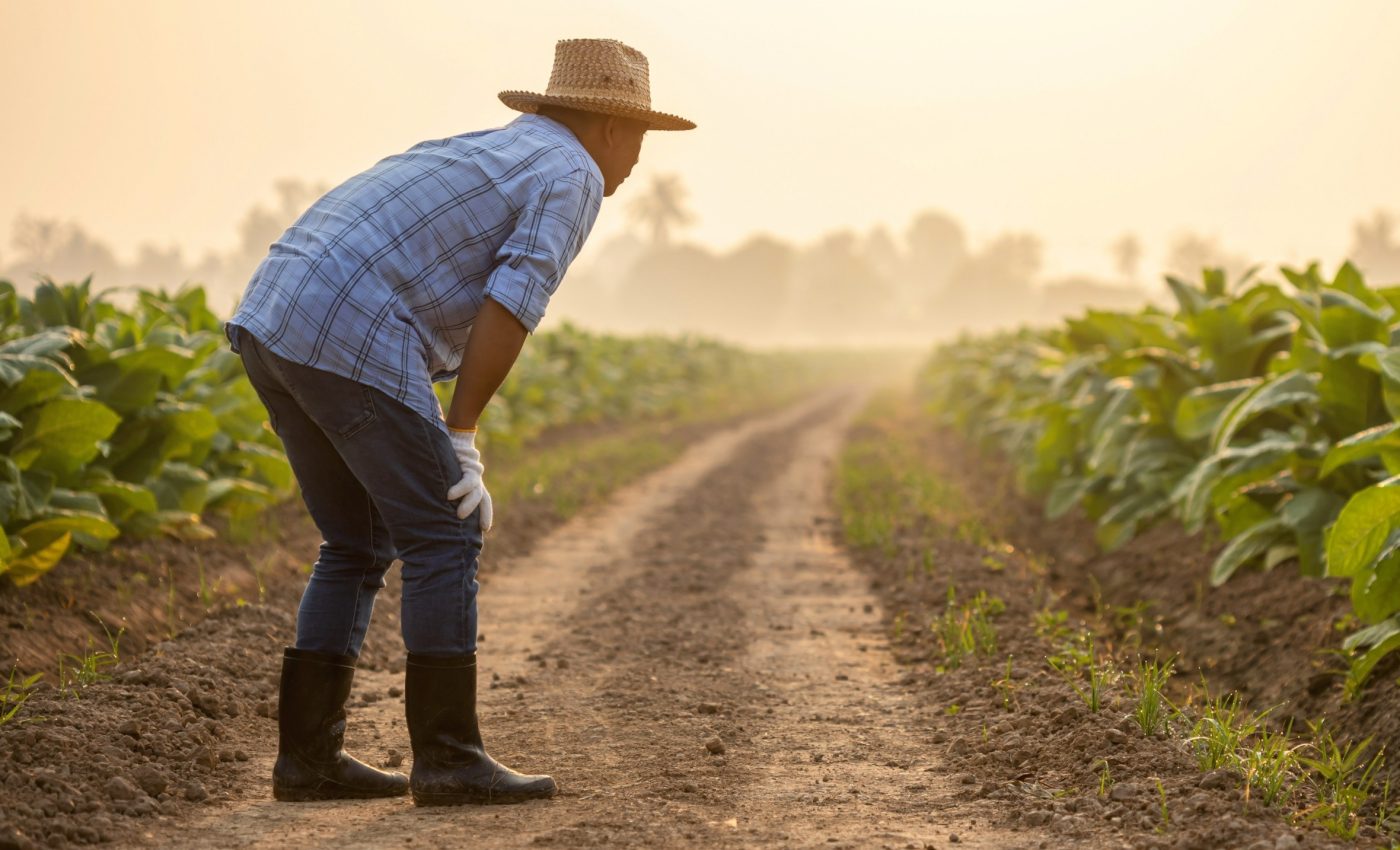 Climate equation predicts a rapid rise in extreme heatwaves