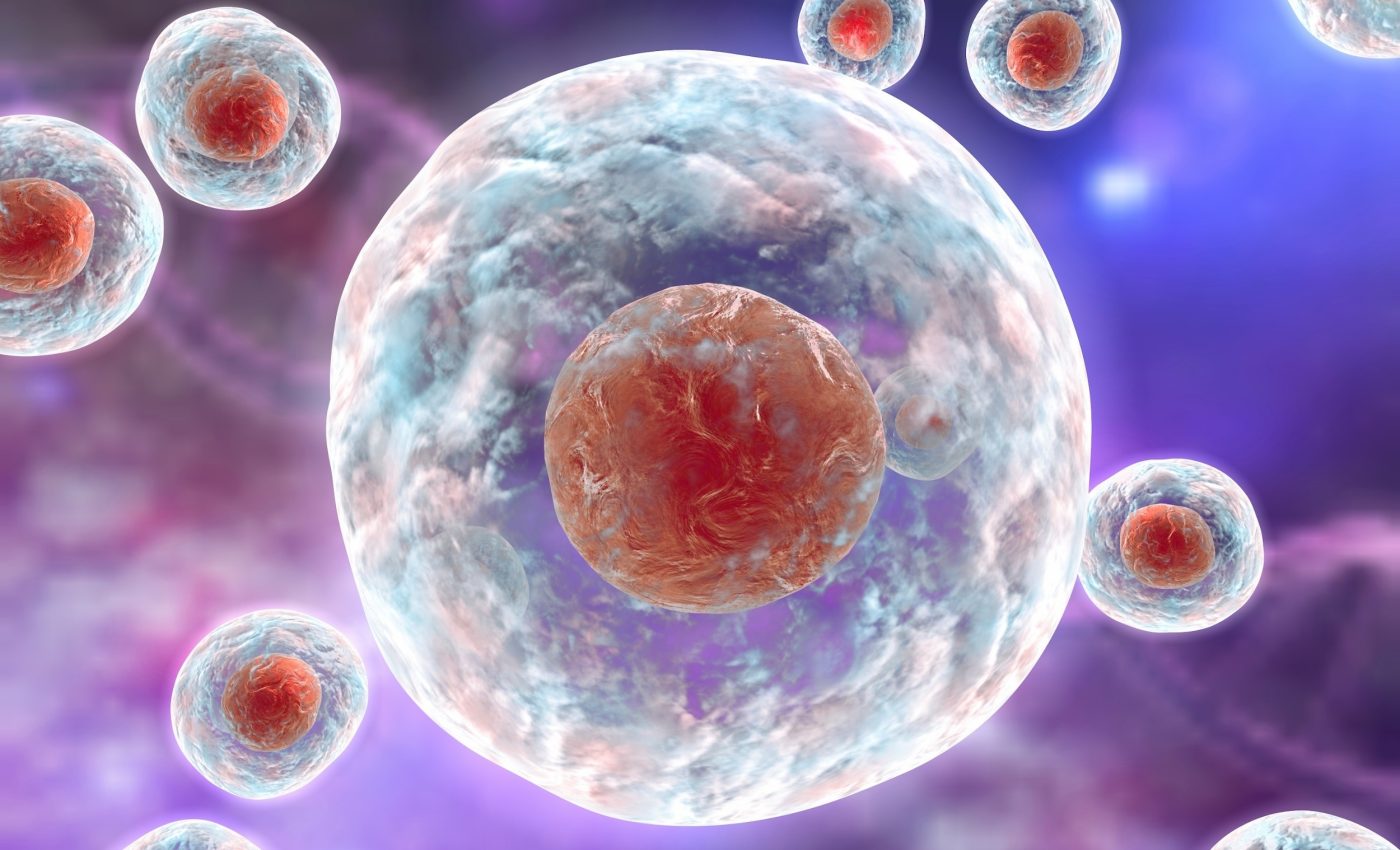 Stem cells can shift from hair growth to skin healing