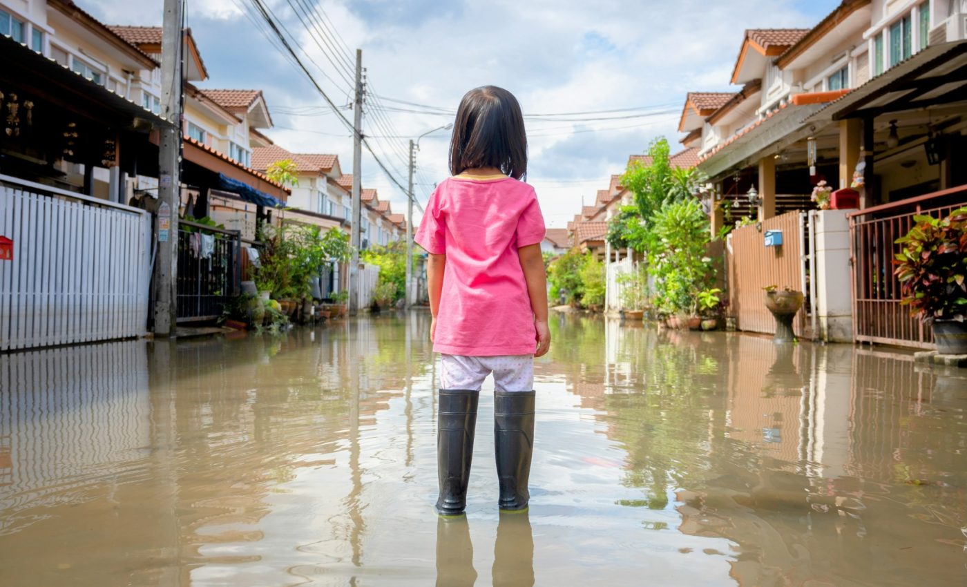 Forest removal can turn rare floods into regular disasters