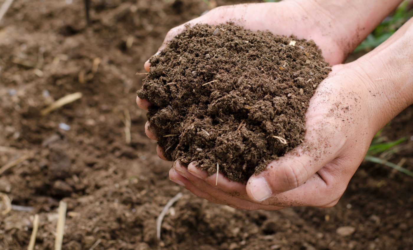 Soil is losing nitrogen, along with its climate-fighting power