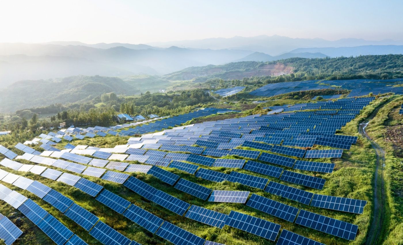 Solar farms need better design to protect wildlife