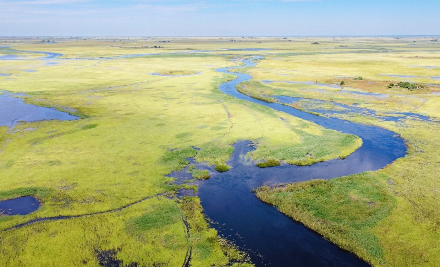 Restored wetlands cut carbon fast - without the methane problem