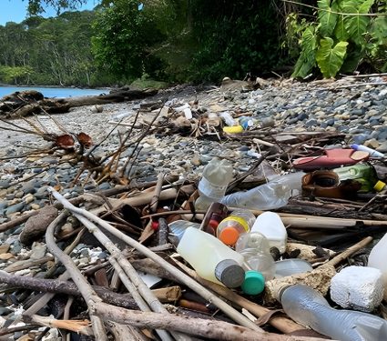 2025/07/plastic-bottles-Pacific.jpg