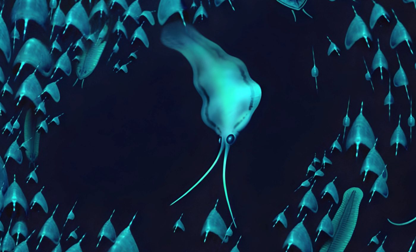 Ancient 'squid' turned out to be something else entirely