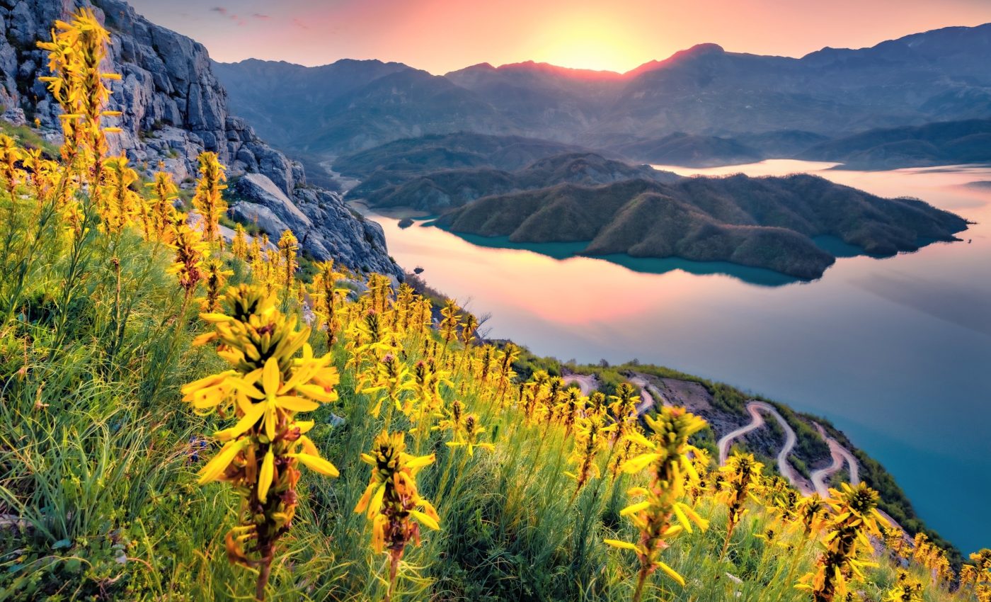 World Nature Conservation Day 2025: A healthy future for all