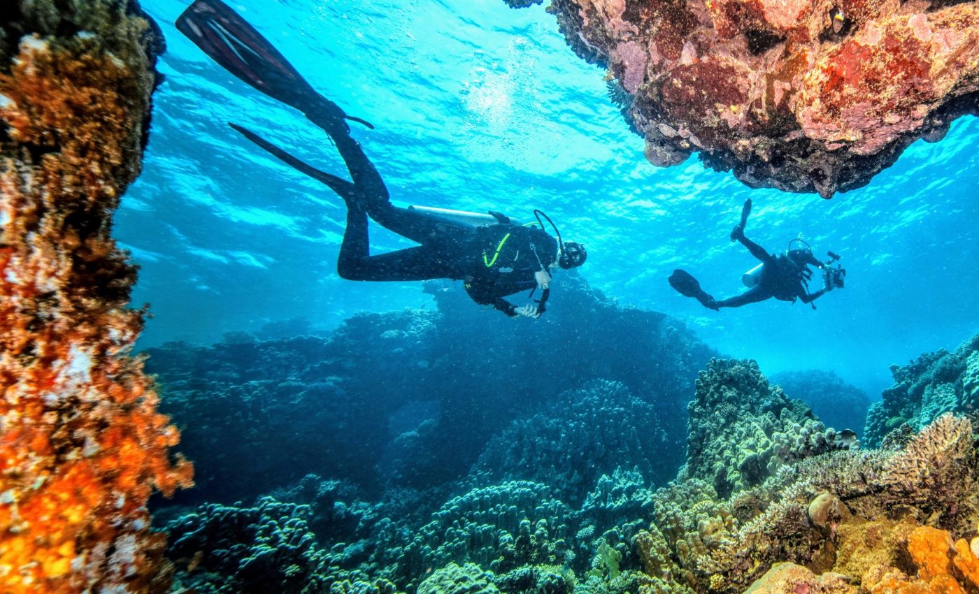 Scuba diving boosts conservation - and brings in billions