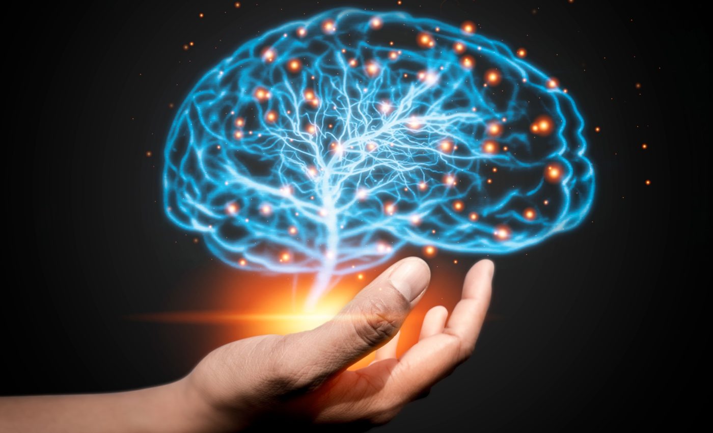 Human brains emit light and glow in the dark, revealing our mental state