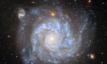 2025/08/NGC-1309.jpg