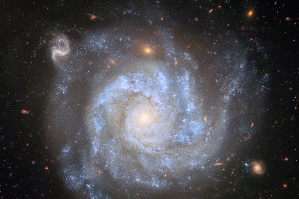 NGC 1309: The star that survived its own explosion 