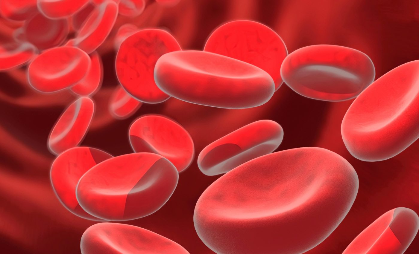 Red blood cells found to squeeze clots tight using physical force