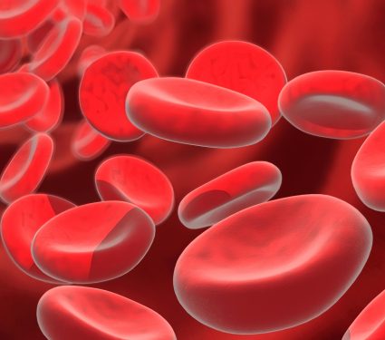 2025/08/red-blood-cells4.jpg
