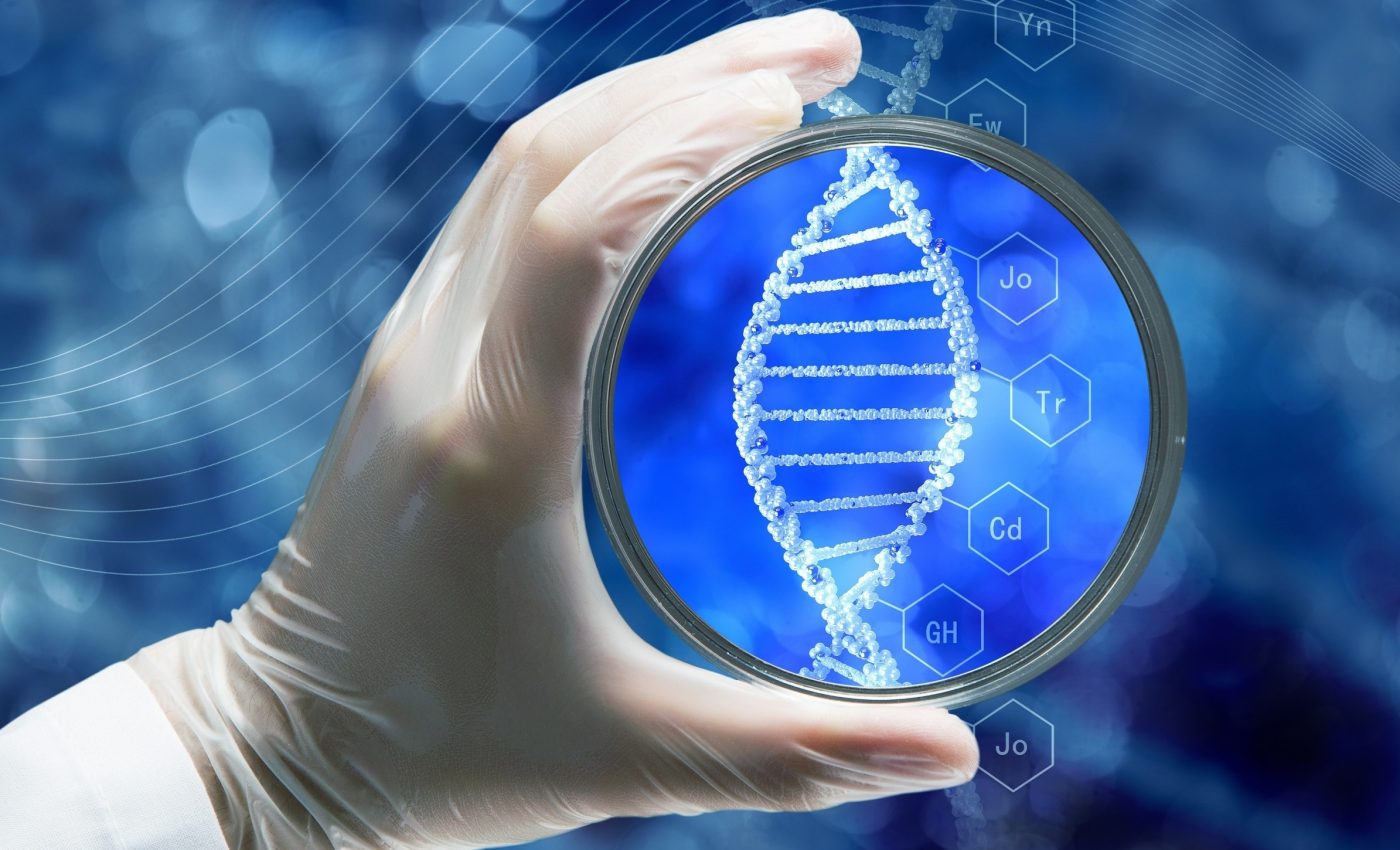 Women's egg cells shield DNA from the effects of aging