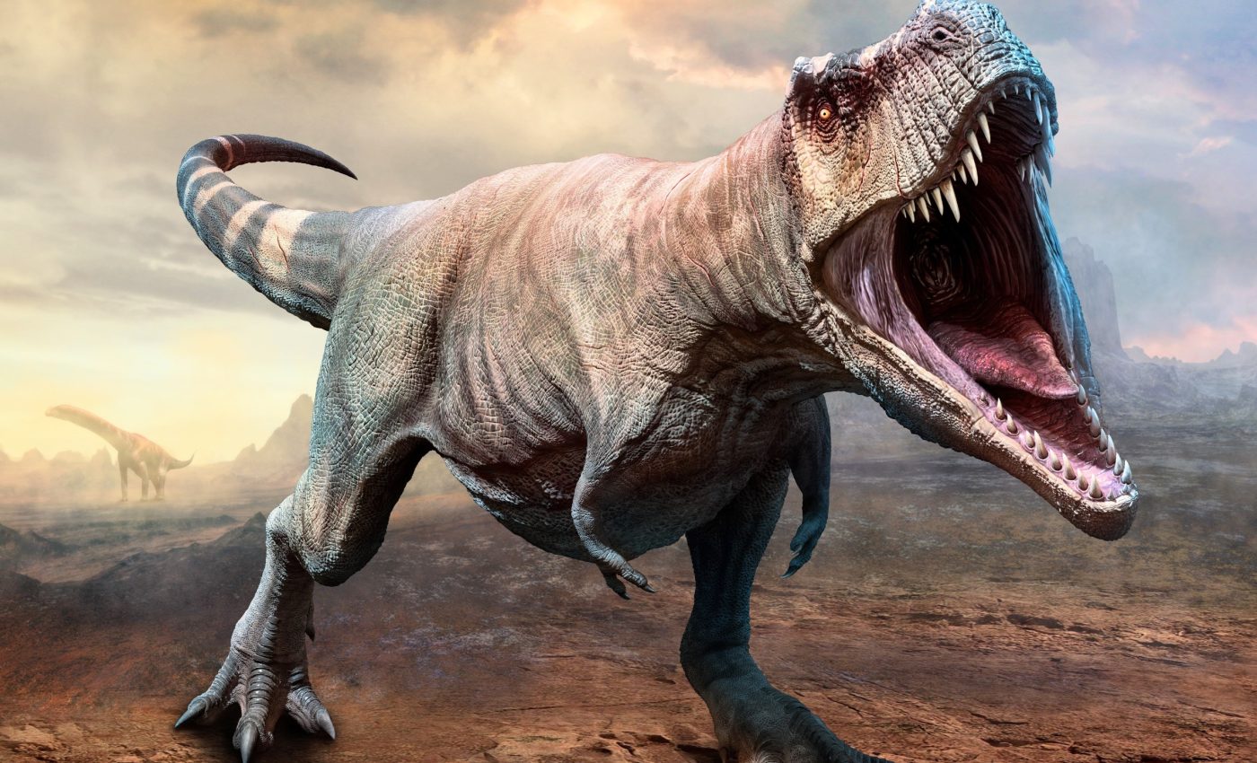 Giant dinosaur skulls reveal unique hunting strategies