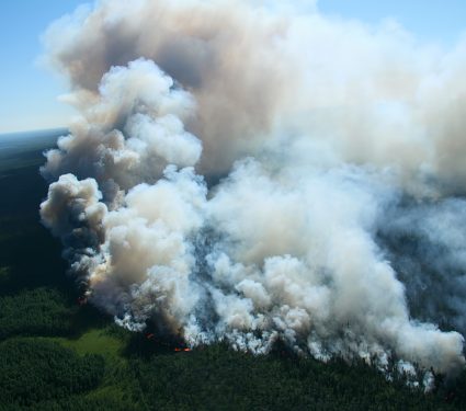 2025/08/Wildfire-smoke-ozone.jpg