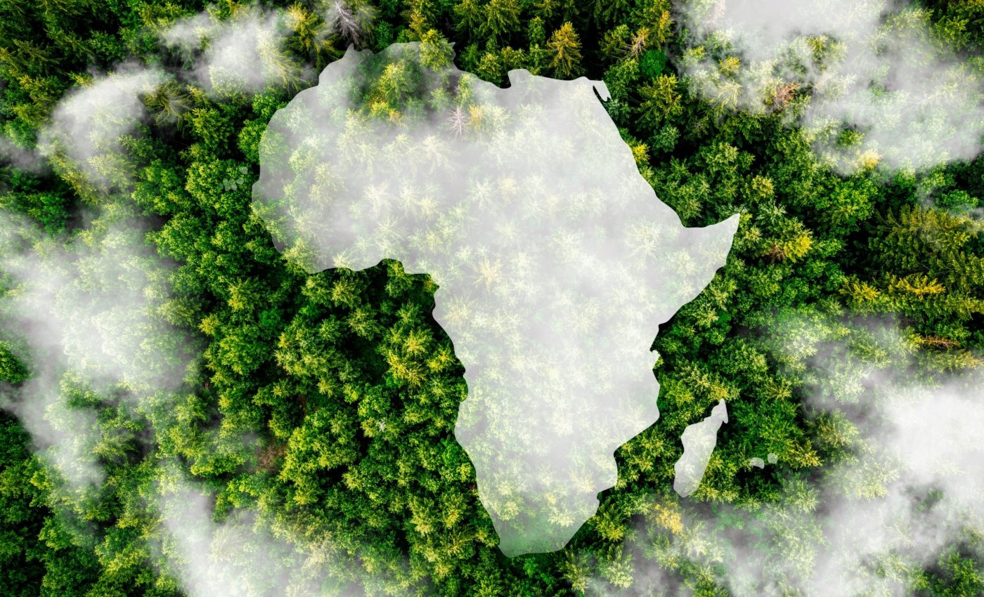 Global food shift could free up land the size of Africa