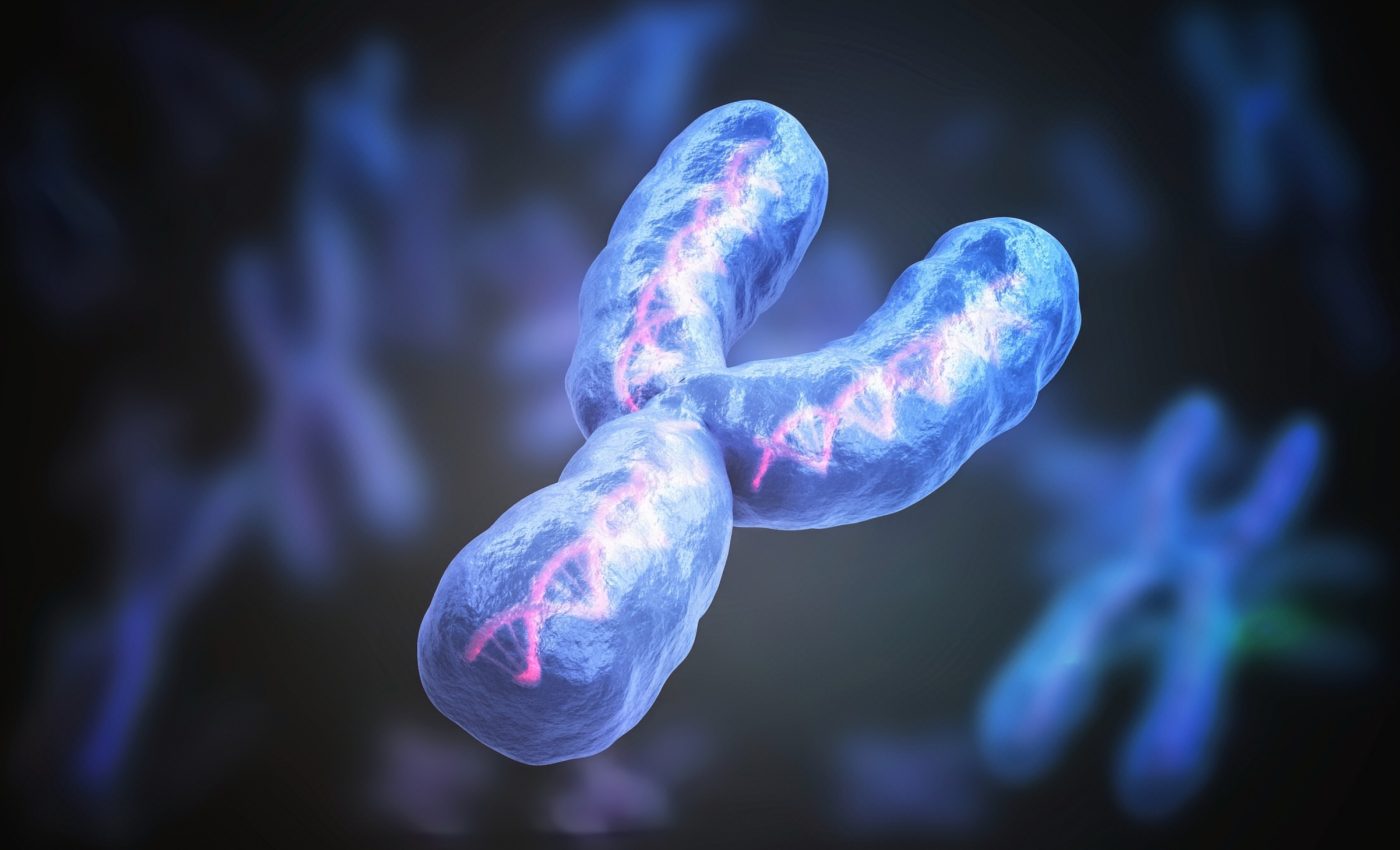 Men’s heart health tied to Y chromosome loss with age