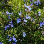 2025/08/Noulidas-Project-6.jpg