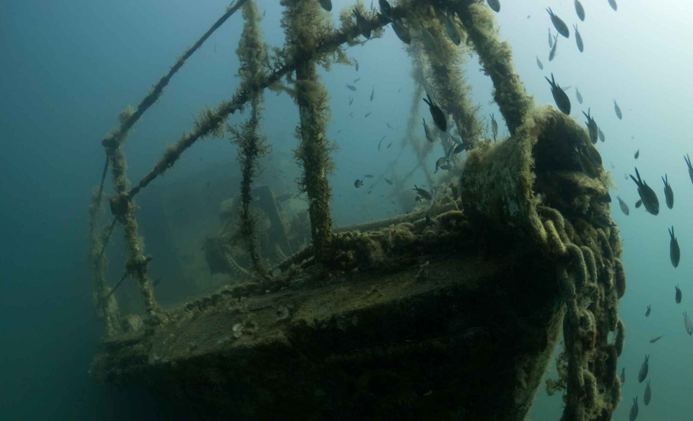 The French Navy makes a discovery 8,421 feet deep that breaks a record