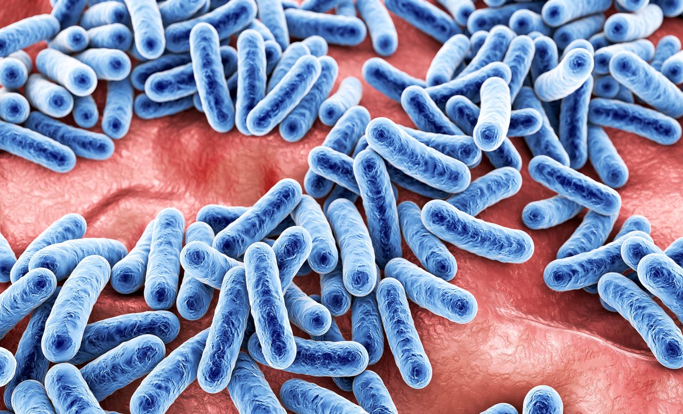 Dairy products are both good and bad for your gut health