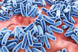 Bacteria,,Human,Microbiome,,Normal,Microflora,Of,Human,Body,,3d,Illustration