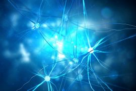 2025/08/Brain-blood-sugar.jpg
