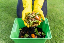 2025/08/Food-waste-composting.jpg
