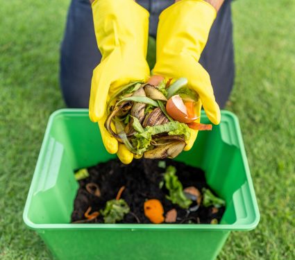 2025/08/Food-waste-composting.jpg