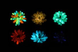 2025/08/Glowing-plants.jpg