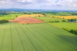 2025/08/Farming-spread.jpg