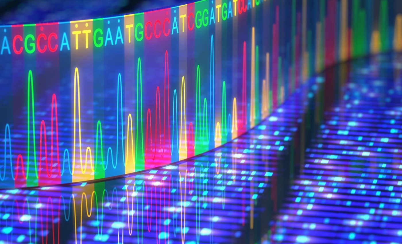 Our DNA holds the hidden history of human language