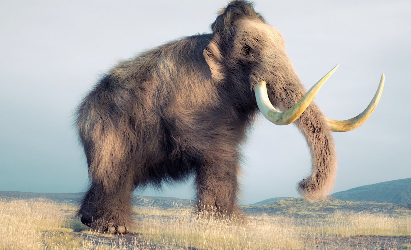 Million year-old mammoth microbes reveal new clues about disease