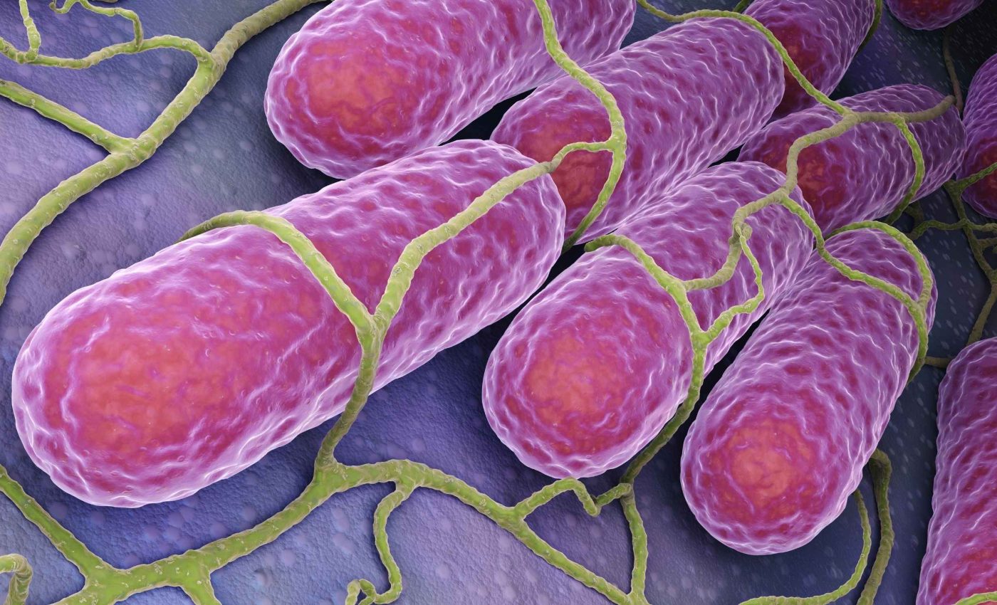 Warmer weather is impacting global food supply, but not in the way you think