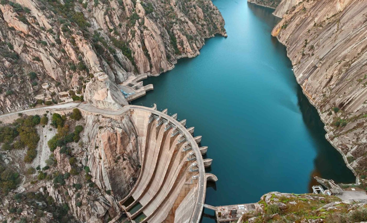 River ecosystem is reborn and life is thriving just three years after a dam is demolished