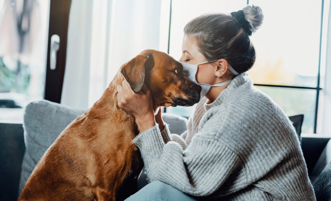 How the pandemic changed dog behavior over 3 years