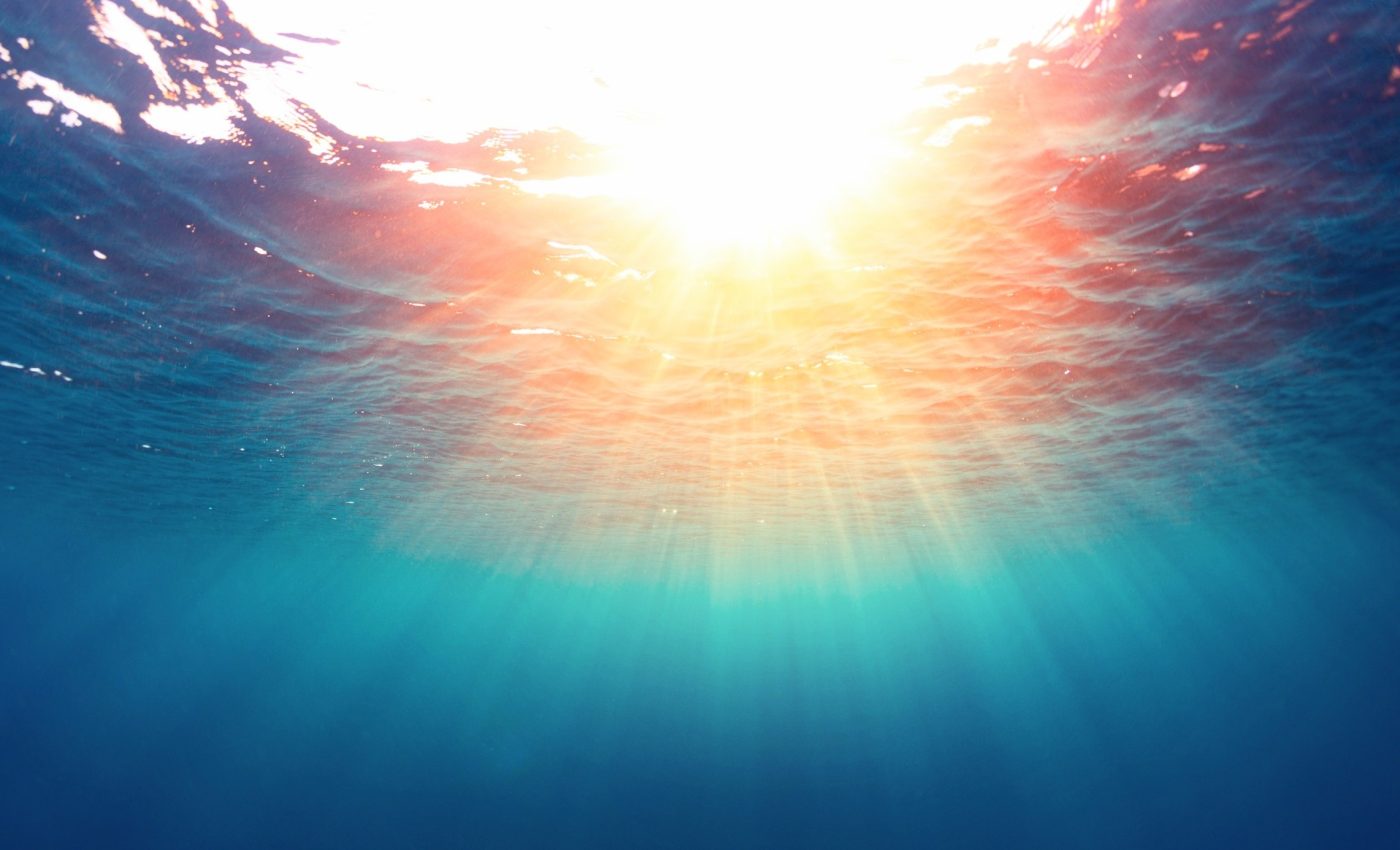 Climate change threatens the ocean’s most vital microbes