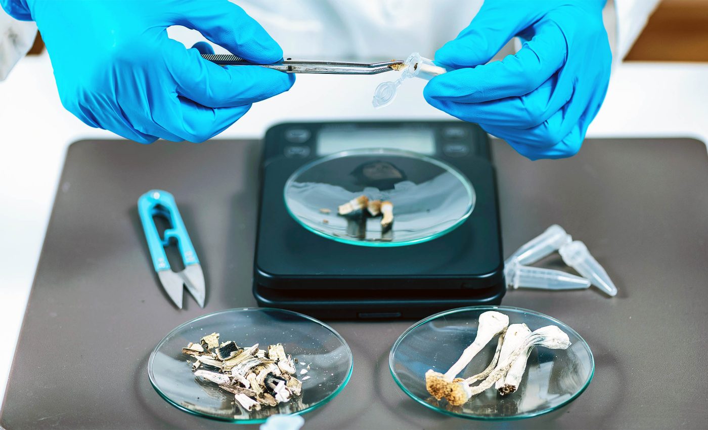 Patients report no signs of depression five years after psilocybin treatment