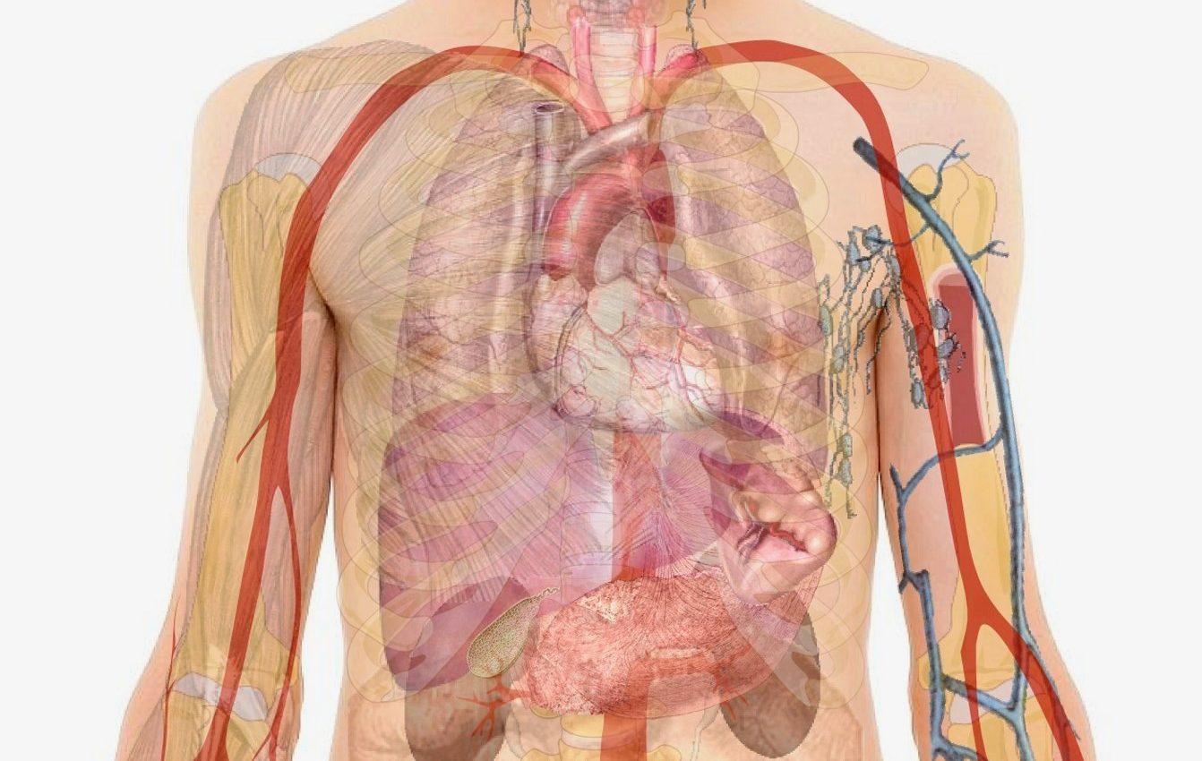 Body tissues use electricity to expel weak cells