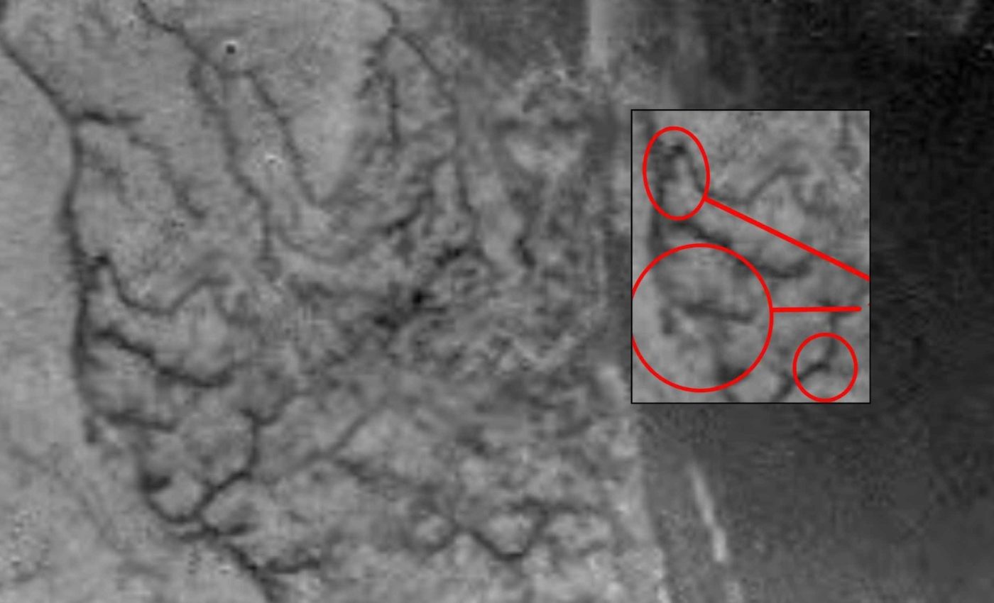 NASA captured this image on Titan 20 years ago, and it continues to perplex scientists today