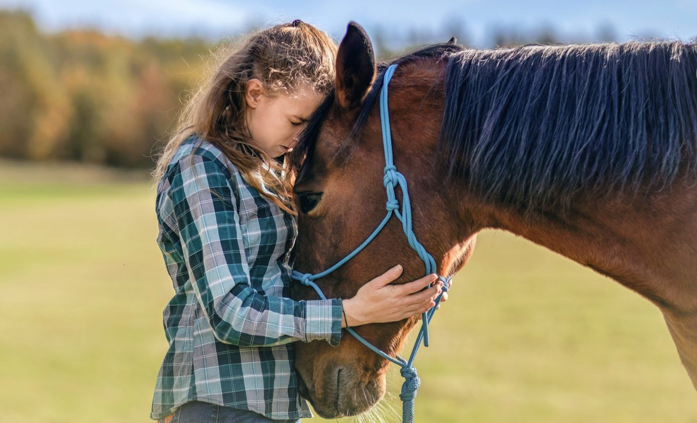 Horses aren't just companions - they're part of the family