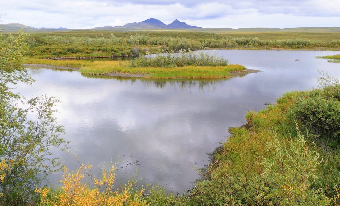 Thawing permafrost could tip Earth’s carbon balance